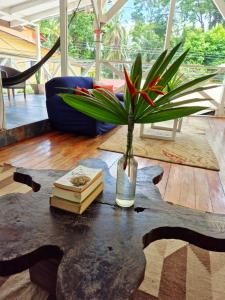 un vaso con un fiore e libri su un tavolo di Lizard King Hotel & Suites a Puerto Viejo Altre 37 foto