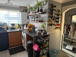 Kuchyň nebo kuchyňský kout v ubytování Traveler Nest
