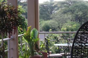 Zahrada ubytování Sunbirds Lodge Chobe
