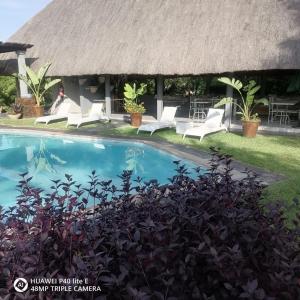 Bazén v ubytování Sunbirds Lodge Chobe nebo v jeho okolí