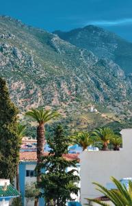 a group of palm trees in front of a mountain at Chefchaouen Amjad in Chefchaouene +28 photos