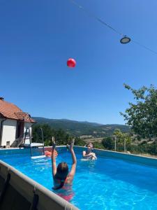 Bassein majutusasutuses Dušanovac või selle lähedal