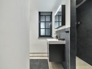 a bathroom with a sink and a mirror at Luxury Design Loft in Hamburg +29 photos