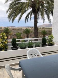 Un paisaje natural cerca del departamento