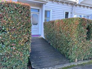 a wooden walkway leading to a house with two hedges at One Bedroom Villa Spacious Room,Amazing Location All Perks in Auckland