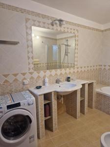 a bathroom with a sink and a washing machine at Lodge Rosa in Agropoli