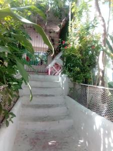 Billede fra billedgalleriet på Comodo y acogedor apartamento en Los Mameyes i Los Tres Ojos de Agua + 13 billeder