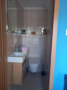 Kúpeľňa v ubytovaní Holiday house with a parking space Viganj - Podac, Peljesac - 10141 + 14 fotografií