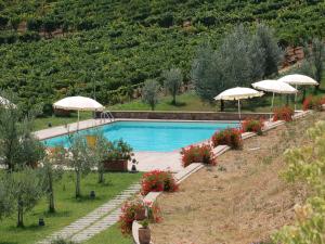 einen Pool mit Sonnenschirmen und Blumen im Garten in der Unterkunft Belvilla by OYO Holiday home with pool in Tuscany in Bucine