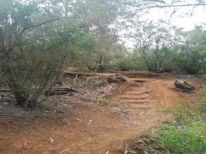 a dirt road in the middle of a forest at Charming Retreat in Fontanales with Pool in Moya