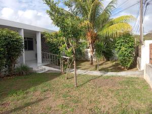 a palm tree in front of a house at Villa Ludger-Rose in Le Moule