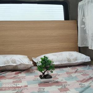 a plant sitting on top of a bed with two pillows at Anaswaram holidays in Vagamon