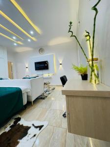 TV a/nebo společenská místnost v ubytování Steeph Home + 8 fotografií