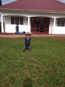 Giardino di Rafting River Nile House Jinja