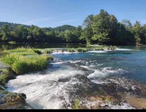 a river with rapids on the rocks and trees at Camping Nori-Una in Hrvatska Kostajnica