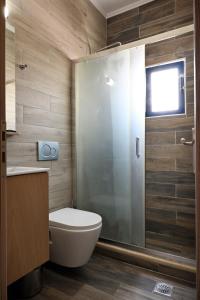 a bathroom with a toilet and a glass shower at Calypso in Agia Roumeli