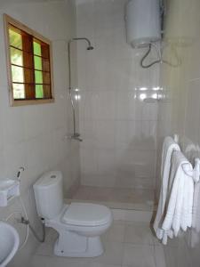 a white bathroom with a toilet and a shower at Pemba Misali Sunset Beach in Wesha