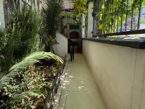 a person walking down a hallway in a building with plants at Apartments TRI SRCA in Sutomore
