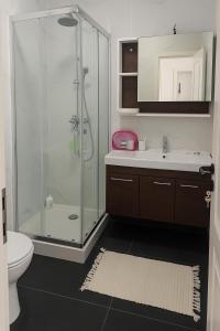 a bathroom with a shower and a toilet and a sink at PlaiulGreenbike in Deva