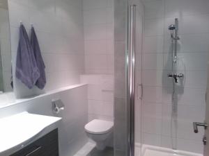 a bathroom with a toilet and a glass shower at Appartements Waldhof in Sankt Kanzian