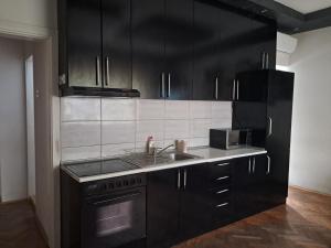 a kitchen with black cabinets and a sink at Lola Jagodina in Jagodina +5 photos