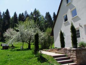 une maison avec un arbre à fleurs devant elle dans l'établissement Wonderworld, à Alfdorf