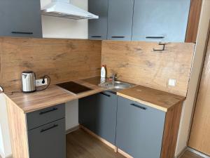 a small kitchen with a sink and a counter at Saulutė in Birštonas