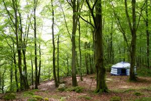 une tente au milieu d'une forêt dans l'établissement STF Nyrups Naturhotell, à Höör