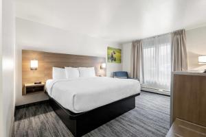 Postel nebo postele na pokoji v ubytování Quality Inn Kodiak