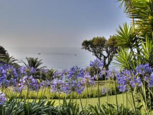a garden with purple flowers in front of the water at Hotel Continental in Santa Margherita Ligure