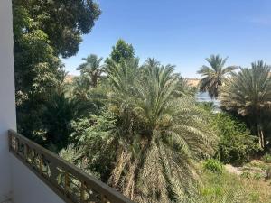 a view from a balcony of palm trees at Eshyan Guest House in Aswan