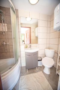 a bathroom with a toilet and a sink and a shower at Zacisze Domki Letniskowe Karsibór Świnoujście in Świnoujście