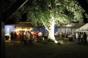 a crowd of people standing under a tree at night at B&B La Ferme de la Patte d'Oie in Saint-Michel-Saint-Jaymes