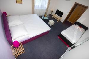 Voodi või voodid majutusasutuse Hotel Trilobit toas