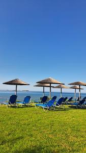 a group of chairs and umbrellas on the beach at Kefalonia Beach Hotel & Bungalows in Lixouri