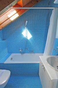 un bagno blu con vasca e lavandino di Rustico Camelia by HolAp SA a Gordevio