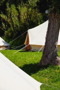 圣让-德吕兹Tente dortoir partagée - Hegoa Surf Camp Pays Basque的帐篷位于树旁