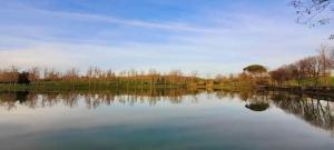 Rabastensにあるpilotis du lac avec SPA privatifの遠くに木がある大きな水域
