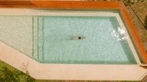 a fish swimming in a pool of water at Granxa D Outeiro in Ribadavia