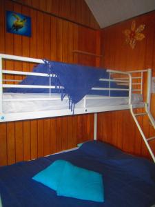 a bedroom with a bunk bed in a wooden wall at Poétitude in Bourail