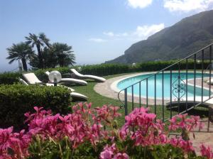 Γενική θέα στο βουνό ή θέα στο βουνό από  αυτός ο ξενώνας