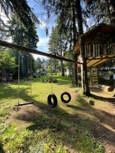 two swings in a yard with a tree at Pensiunea Carpatic Trei Brazi Predeal in Predeal