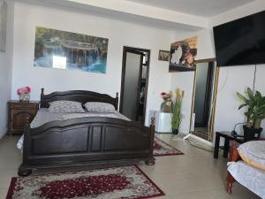 Gallery image of Felea la Rico in Tulcea