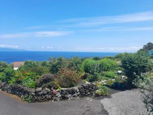 a garden with flowers and trees and the ocean at Lost in Thyme in Lajes do Pico