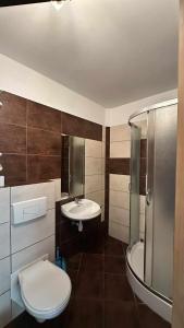 a bathroom with a toilet and a sink and a shower at na rogu in Pobierowo