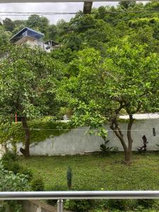 Giardino di Rezo's House