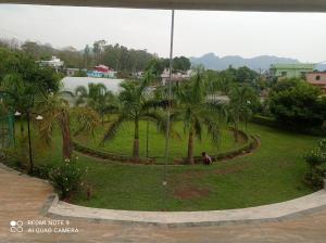 a park with palm trees in a green field at Chauhan Homestay in Kotdwāra