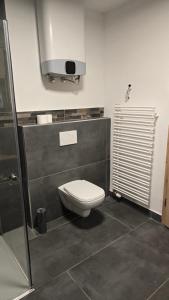 a bathroom with a toilet and a shower at Apartma Alja 4 Kranjska Gora in Kranjska Gora +1 photo