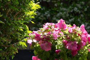 A garden outside Temenos Villa by Ortigiaapartments