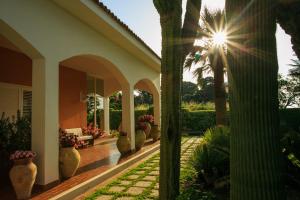 A garden outside Temenos Villa by Ortigiaapartments